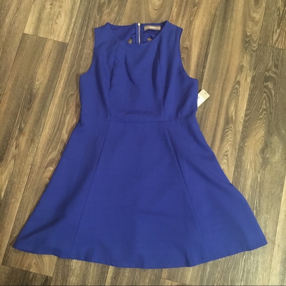 Lizard Thicket Dresses & Skirts - Blue Fit & Flare Dress